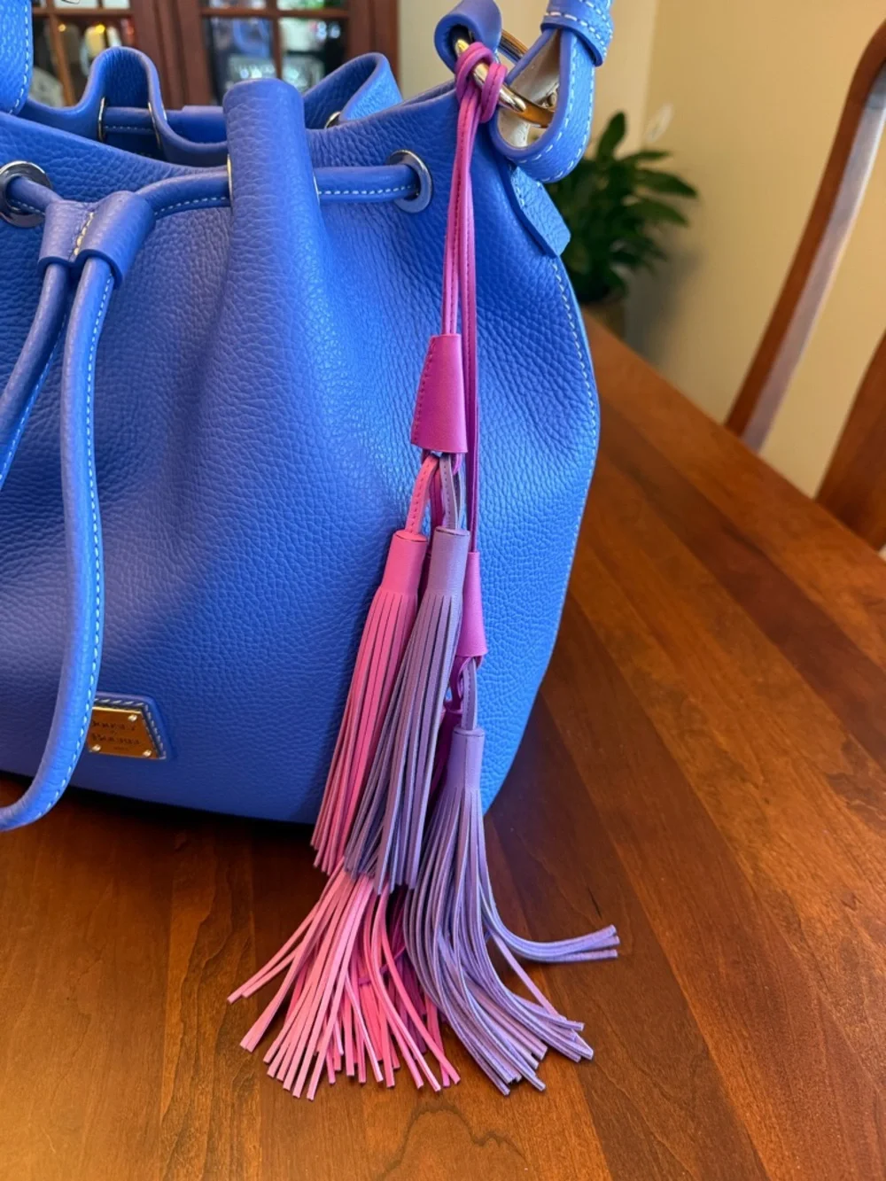 NWOT Dooney & Bourke Lucca Leather Drawstring Bag with Multi-Color Tassels - Picture 7 of 16